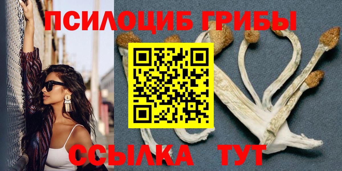 Псилоцибиновые грибы мицелий Лесной