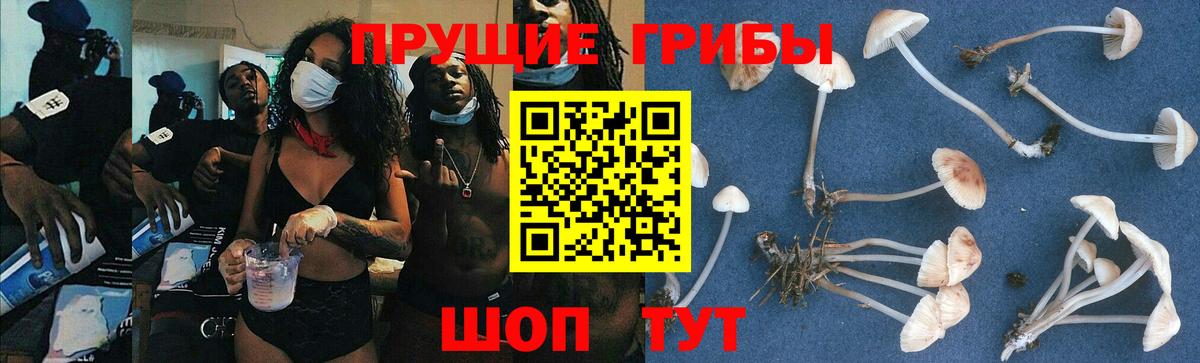 Псилоцибиновые грибы Magic Shrooms  Вход с VPN  Лесной 